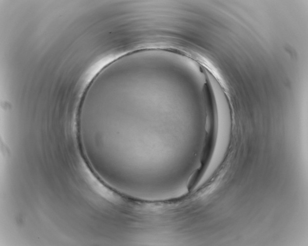 X0000091230803200708091417