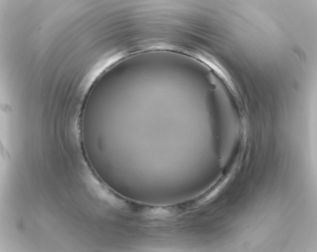 X0000091230806200708091416