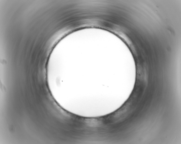 X0000091230807200708091416