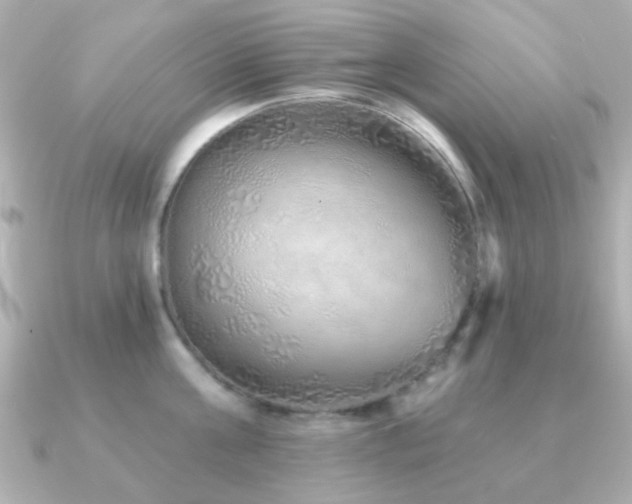 X0000091230811200708091416