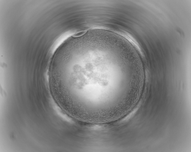 X0000091230814200708091416
