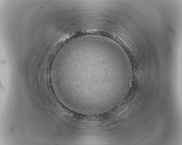 X0000091230817200708091416