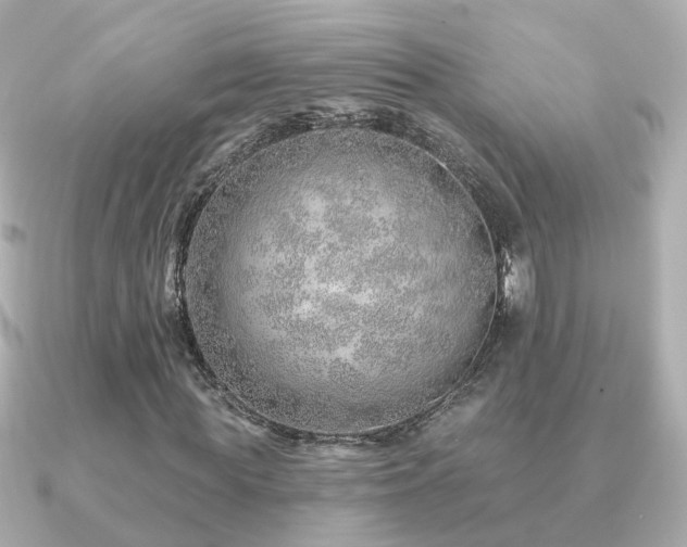 X0000091230819200708091416