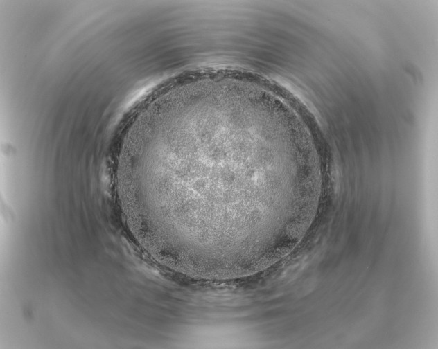 X0000091230823200708091416