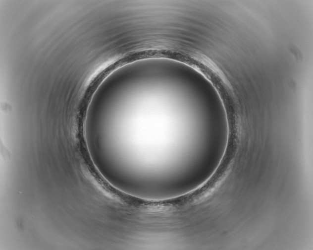 X0000091230826200708091416