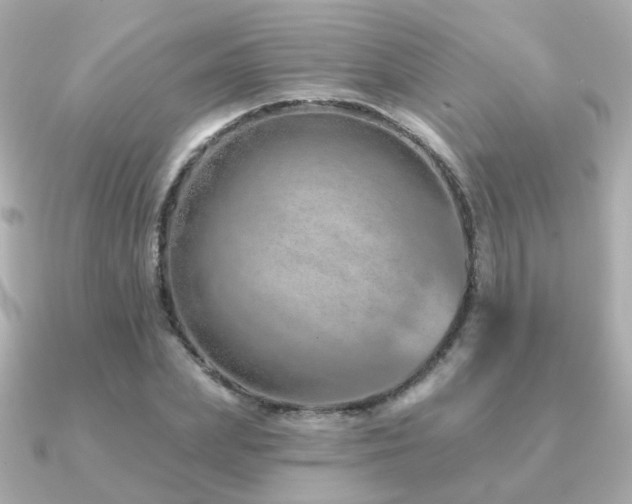 X0000091230831200708091416