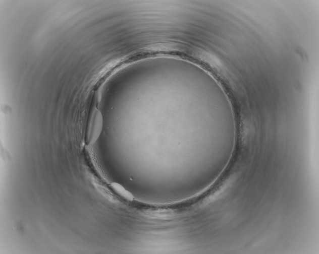 X0000091230833200708091416