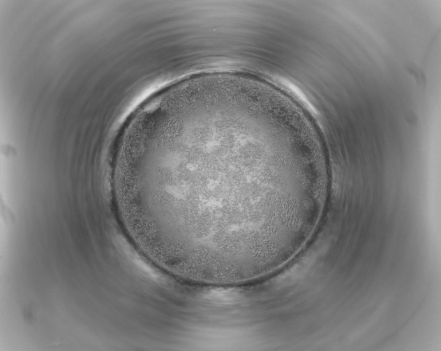 X0000091230835200708091416