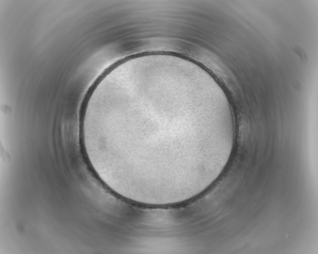 X0000091230836200708091416