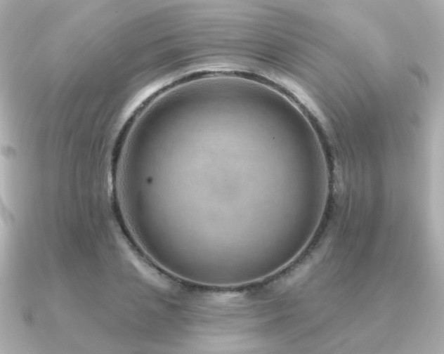 X0000091230837200708091416