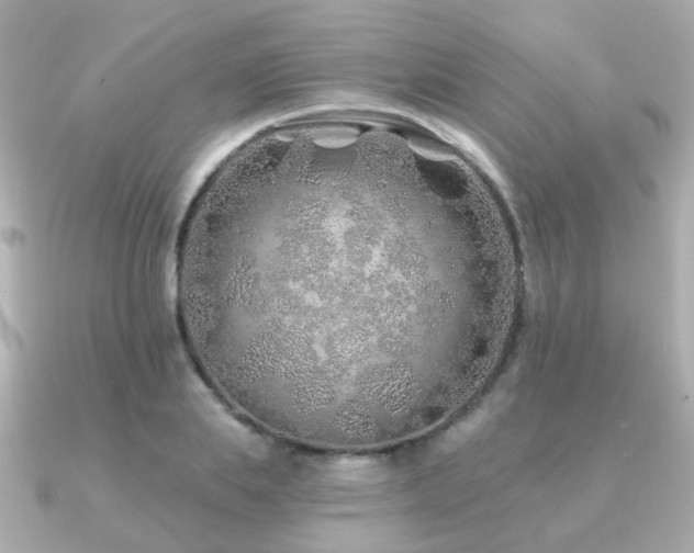 X0000091230839200708091416