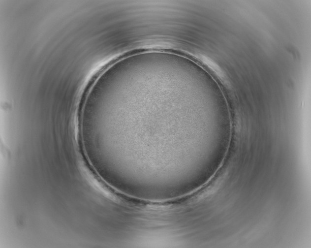 X0000091230840200708091416