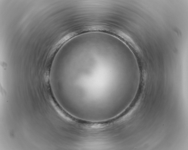 X0000091230841200708091416