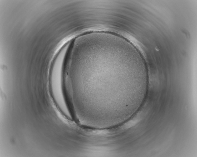 X0000091230845200708091416