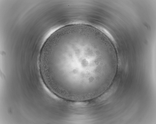 X0000091230847200708091416