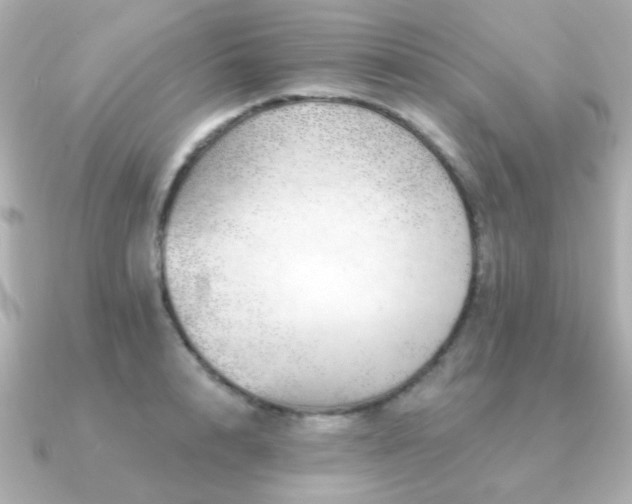 X0000091230848200708091416