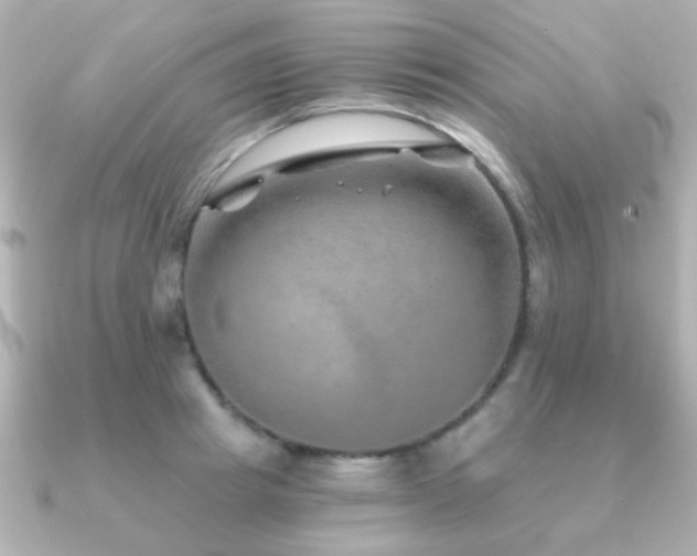 X0000091230849200708091416