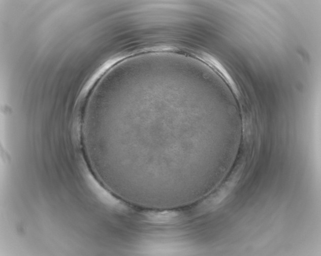 X0000091230851200708091416