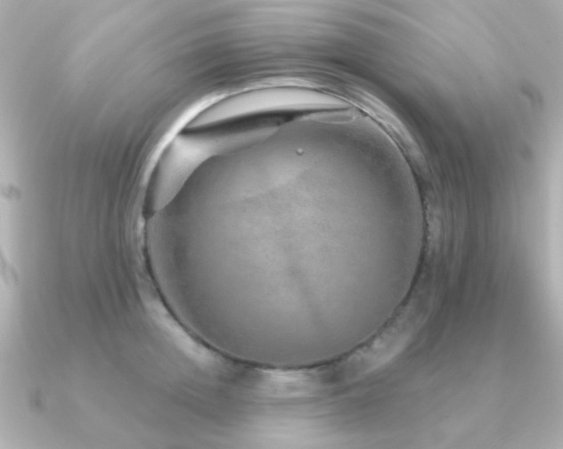 X0000091230852200708091416