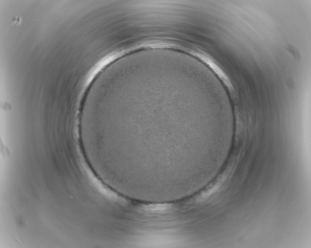 X0000091230853200708091416