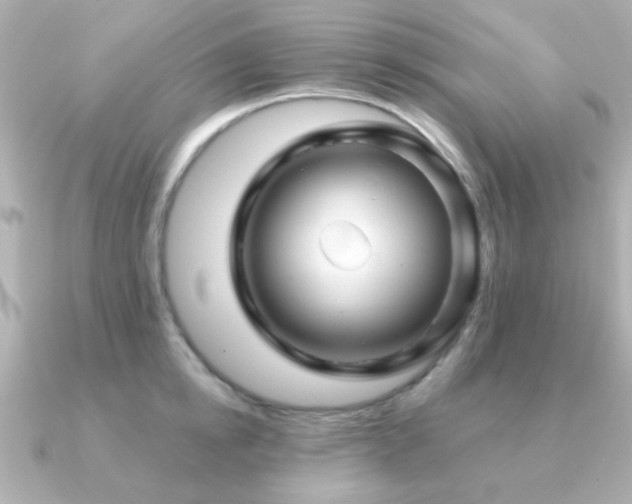 X0000091230854200708091416