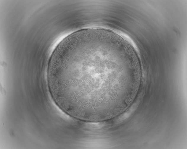 X0000091230855200708091416