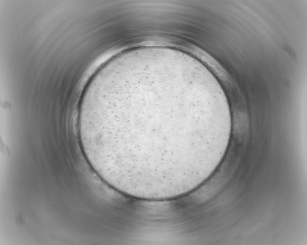 X0000091230856200708091416