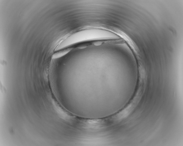 X0000091230857200708091416