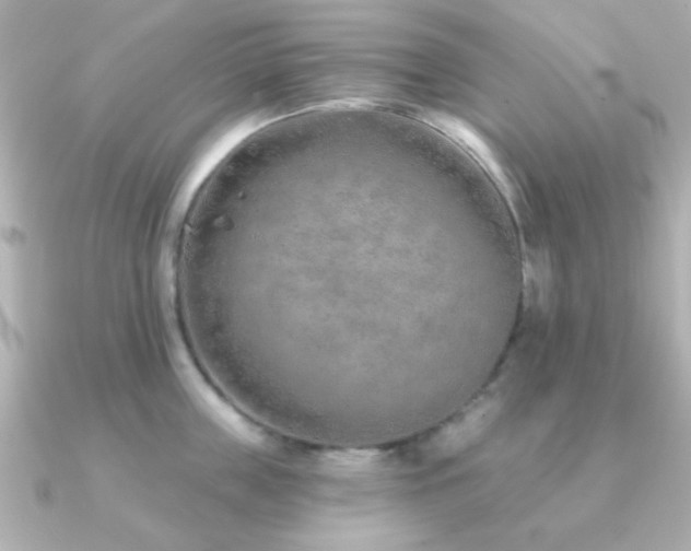 X0000091230859200708091416