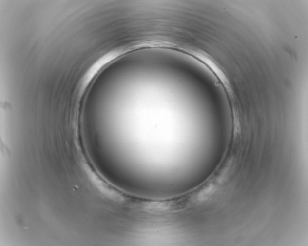 X0000091230861200708091416