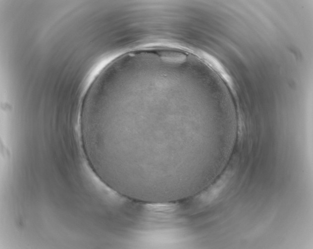 X0000091230863200708091416