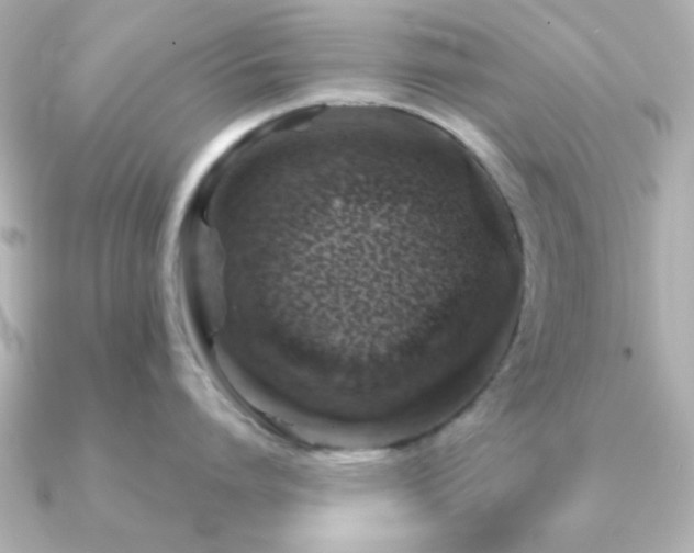 X0000091230864200708091416