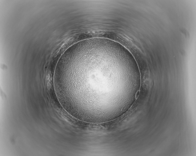 X0000091230866200708091416
