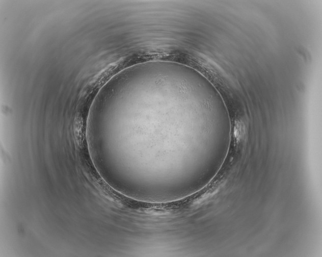 X0000091230867200708091416