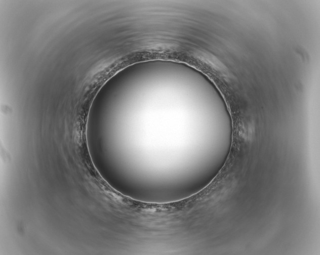 X0000091230869200708091416