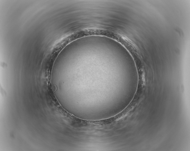 X0000091230870200708091416