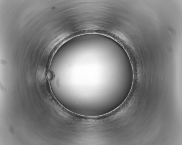 X0000091230873200708091416