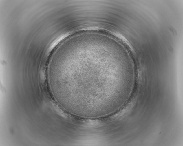 X0000091230874200708091416