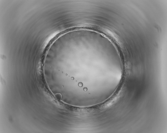 X0000091230875200708091416
