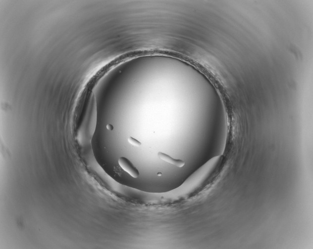 X0000091230876200708091416