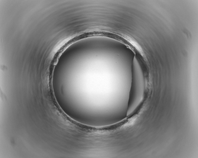 X0000091230877200708091416