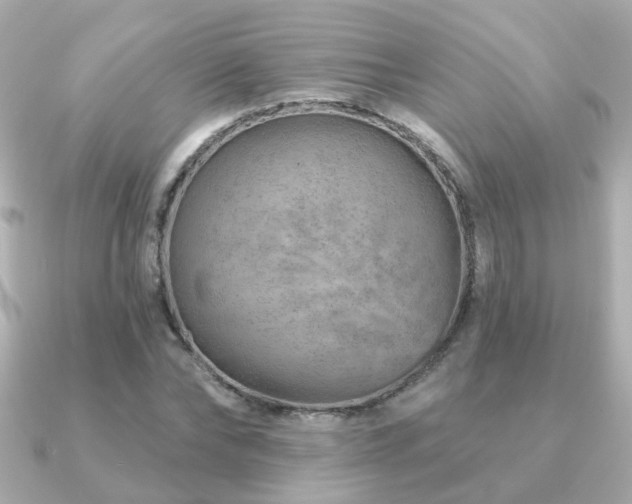 X0000091230878200708091416