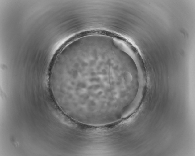 X0000091230879200708091416