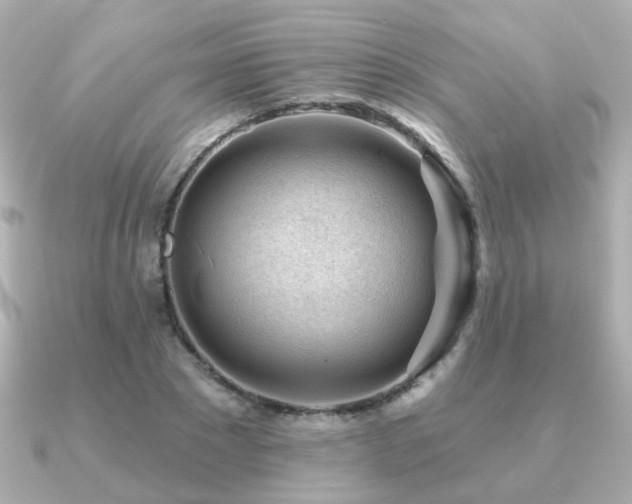 X0000091230881200708091416
