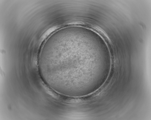 X0000091230882200708091416