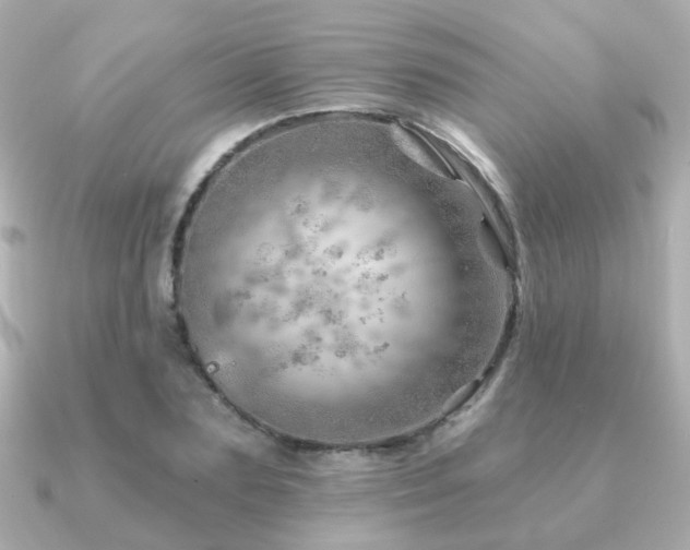X0000091230883200708091416