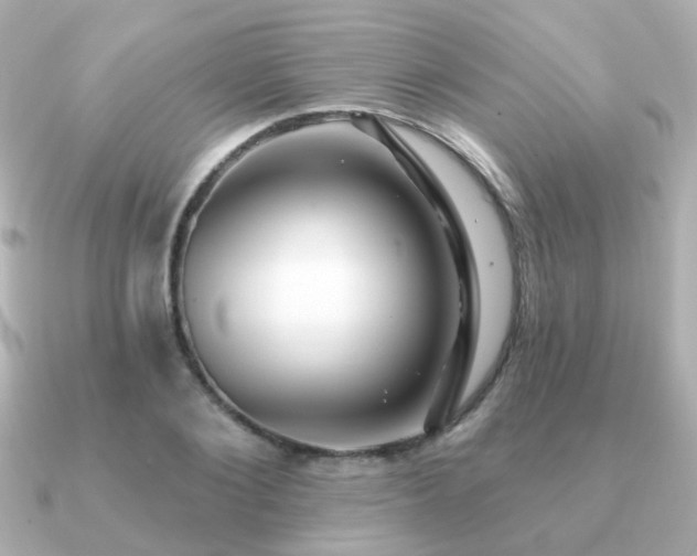 X0000091230884200708091416