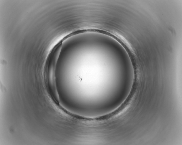 X0000091230885200708091416