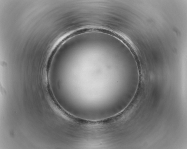 X0000091230887200708091416