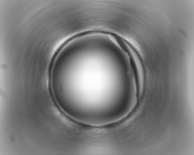 X0000091230888200708091416